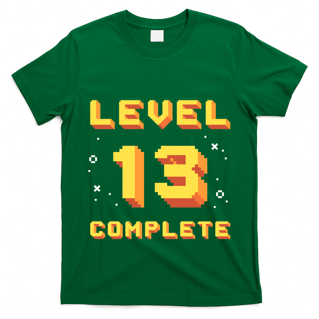 Born In 2008 Level 13 Complete 13th Birthday Retro Gaming Cute Gift T-Shirt