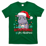 Cute Xmas Santa Hat I Want A Hippopotamus For Christmas Costume Gift T-Shirt - Irish Green