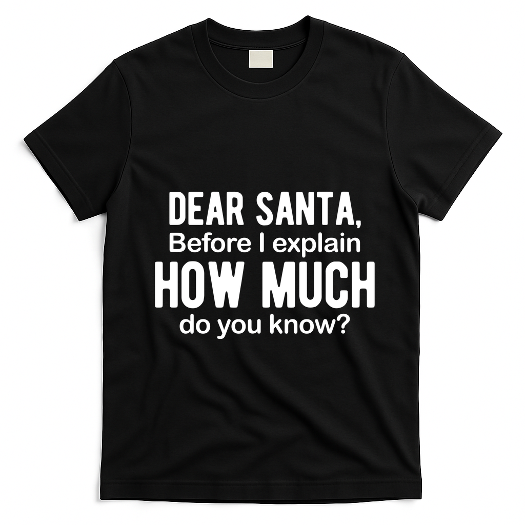 Dear Santa Before I Explain How Much Do You Know Funny Christmas T-Shirt - Black