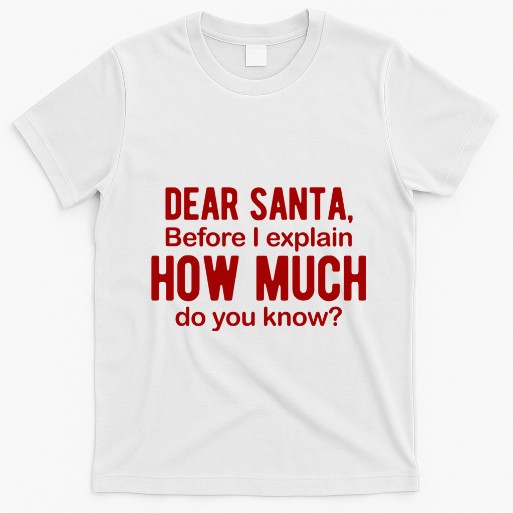 Dear Santa Before I Explain How Much Do You Know Funny Christmas T-Shirt - White