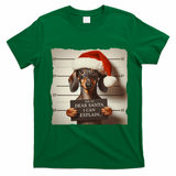 Funny Dachshund Christmas Dear Santa I Can Explain Weiner T-Shirt - Irish Green