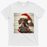Funny Dachshund Christmas Dear Santa I Can Explain Weiner T-Shirt - White