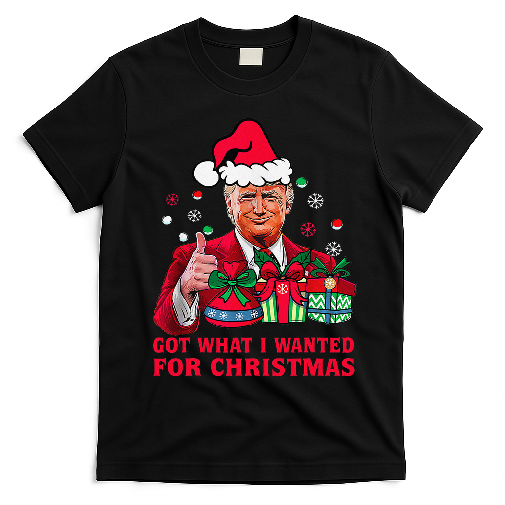 Got What I Wanted For Christmas Trump 2024 Won President T-Shirt - Black