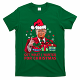 Got What I Wanted For Christmas Trump 2024 Won President T-Shirt - Irish Green