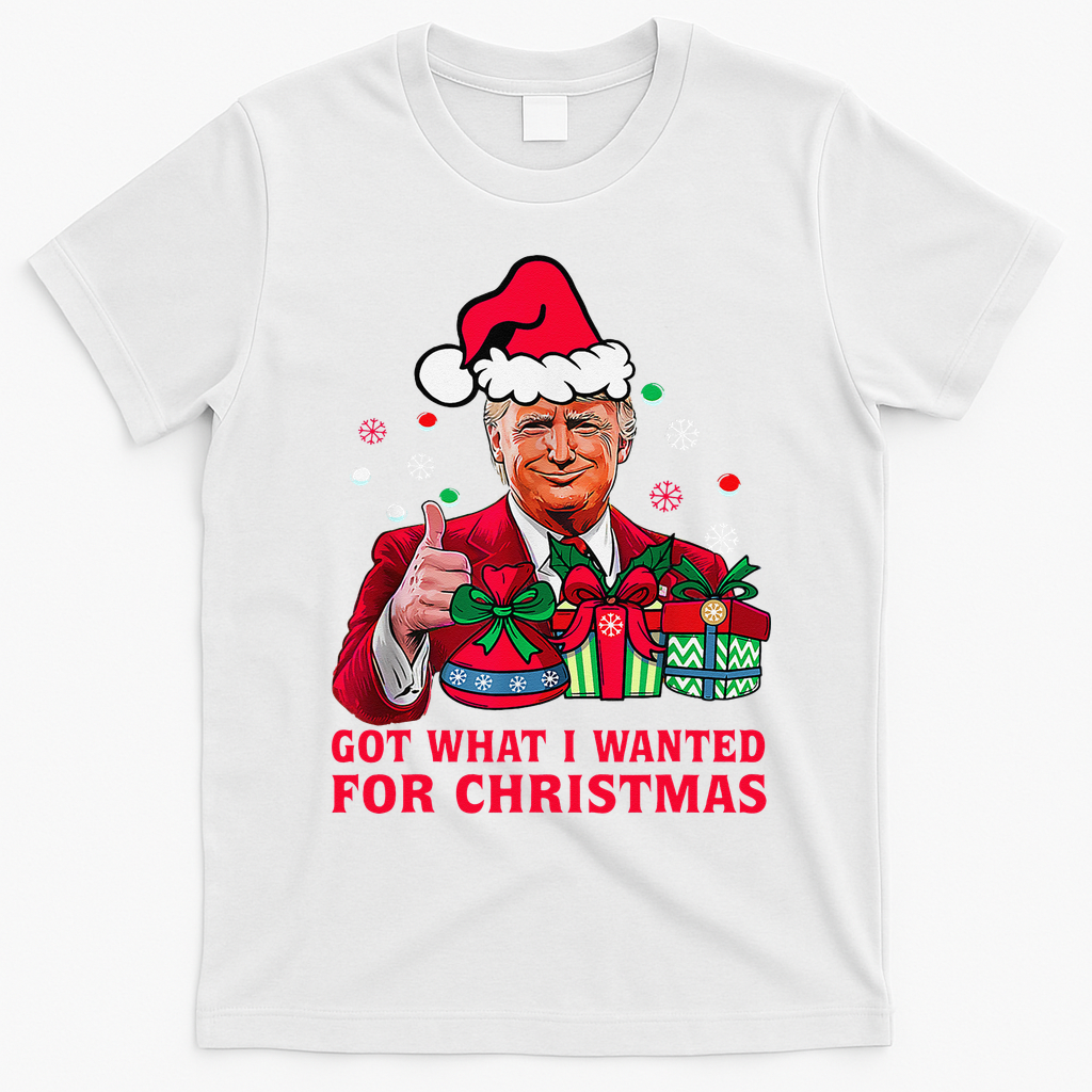 Got What I Wanted For Christmas Trump 2024 Won President T-Shirt - White