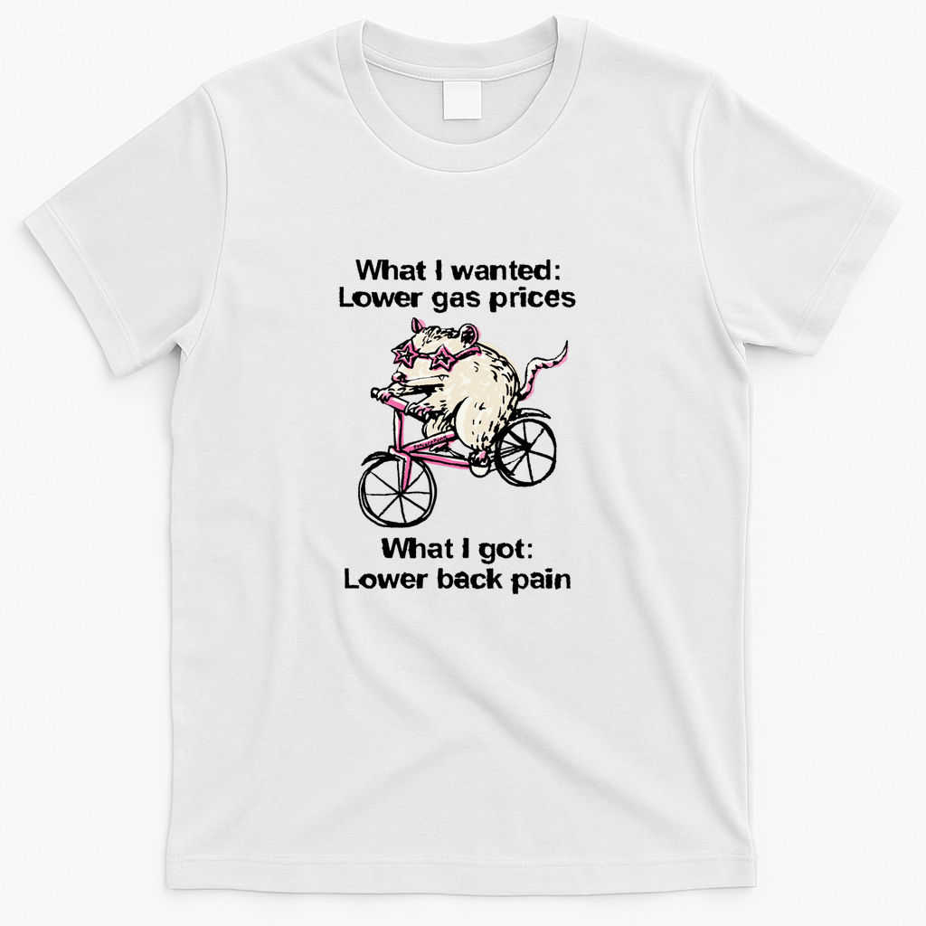 Lower gas prices Lower back pain opossum - White