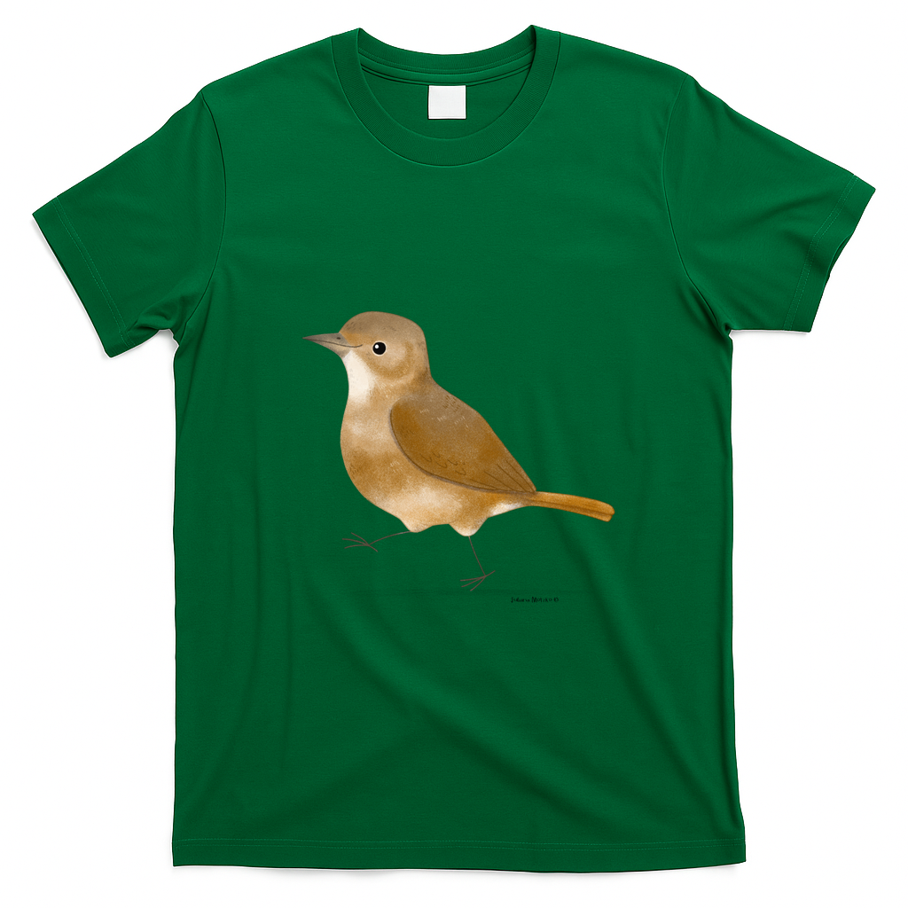 Rufous Hornero 2 - Green