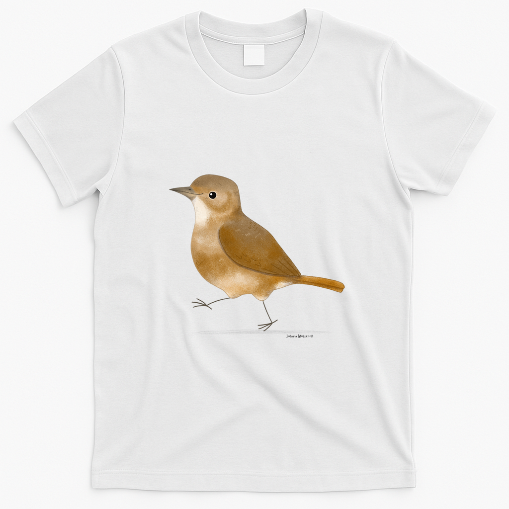 Rufous Hornero 2 - White