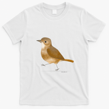 Rufous Hornero 2 - White