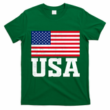 Vintage American Flag Graphic Patriotic Celebrations T-Shirt - Irish Green