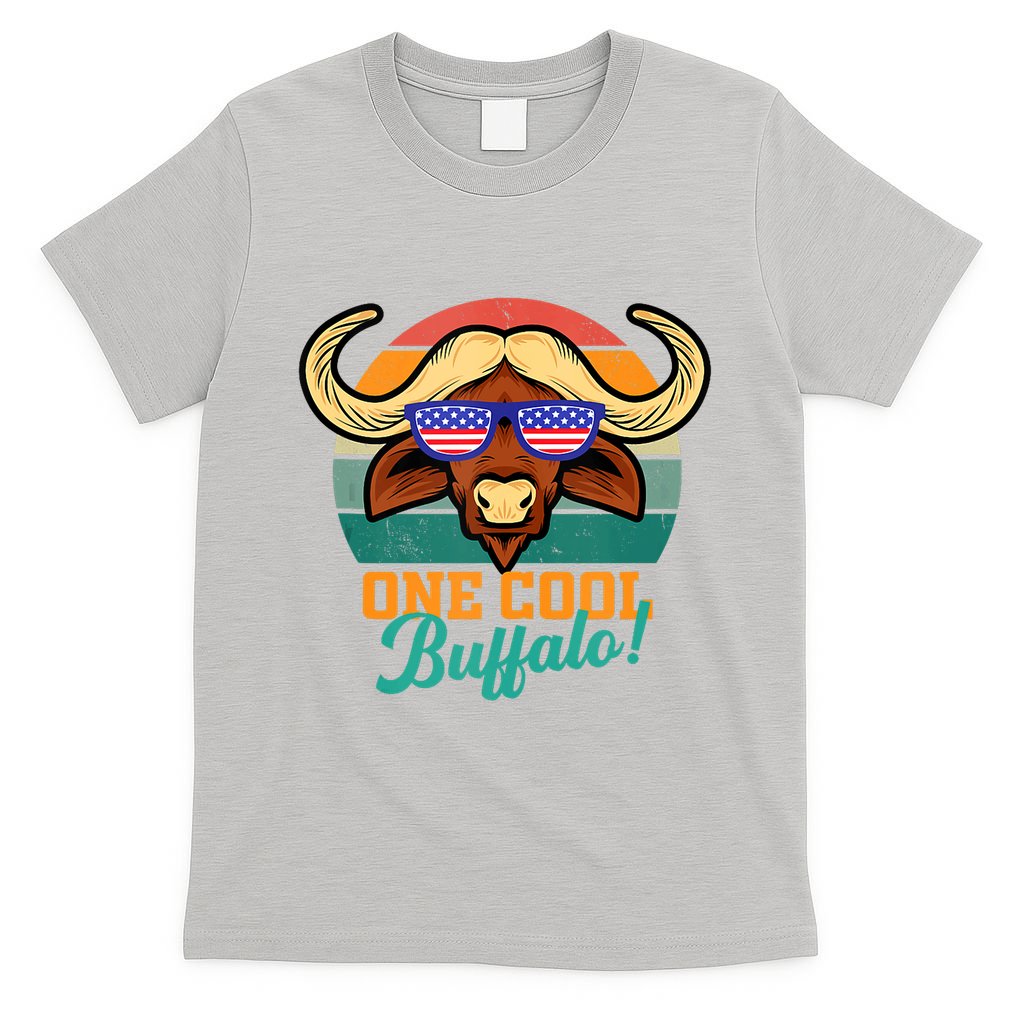 Buffalo Gifts Apparel Souvenirs Usa Flag Sports Tailgating T-Shirt