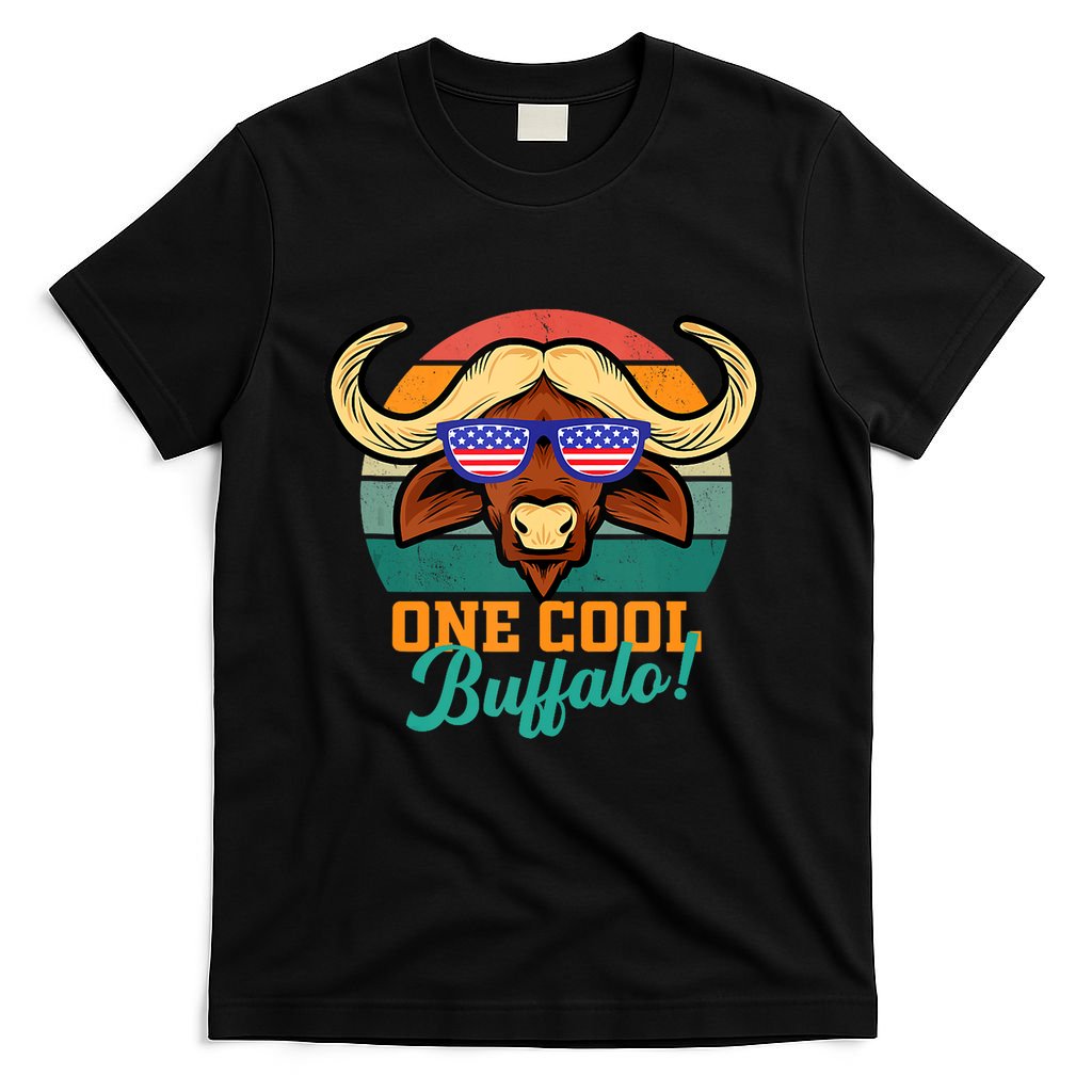 Buffalo Gifts Apparel Souvenirs Usa Flag Sports Tailgating T-Shirt