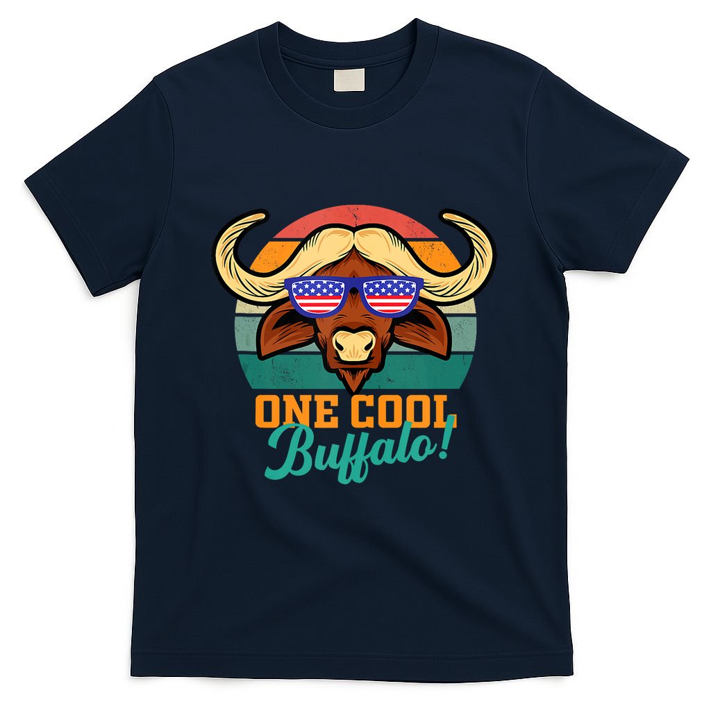 Buffalo Gifts Apparel Souvenirs Usa Flag Sports Tailgating T-Shirt