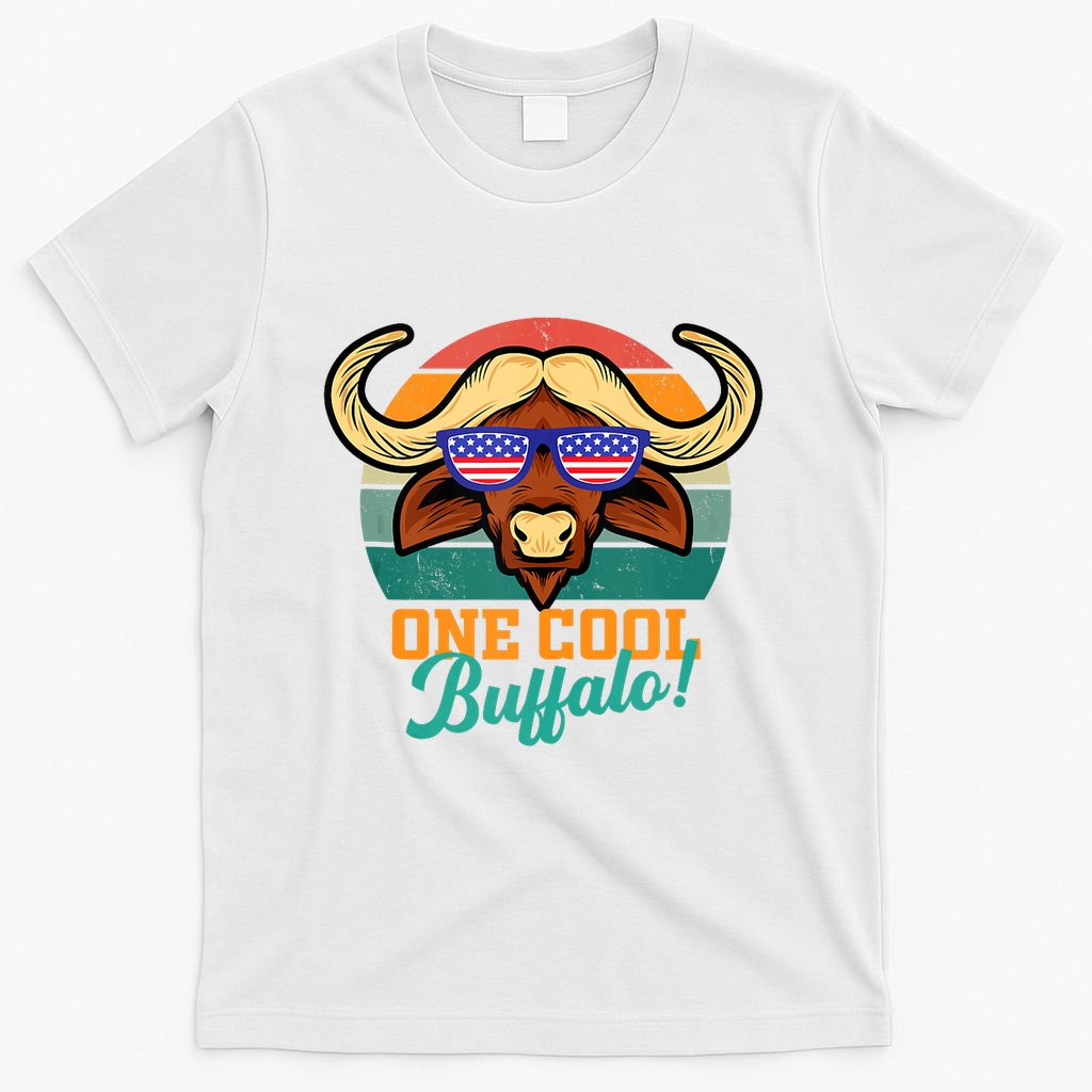 Buffalo Gifts Apparel Souvenirs Usa Flag Sports Tailgating T-Shirt