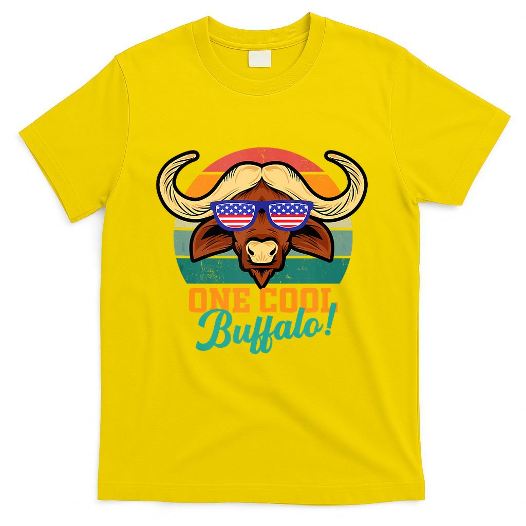 Buffalo Gifts Apparel Souvenirs Usa Flag Sports Tailgating T-Shirt