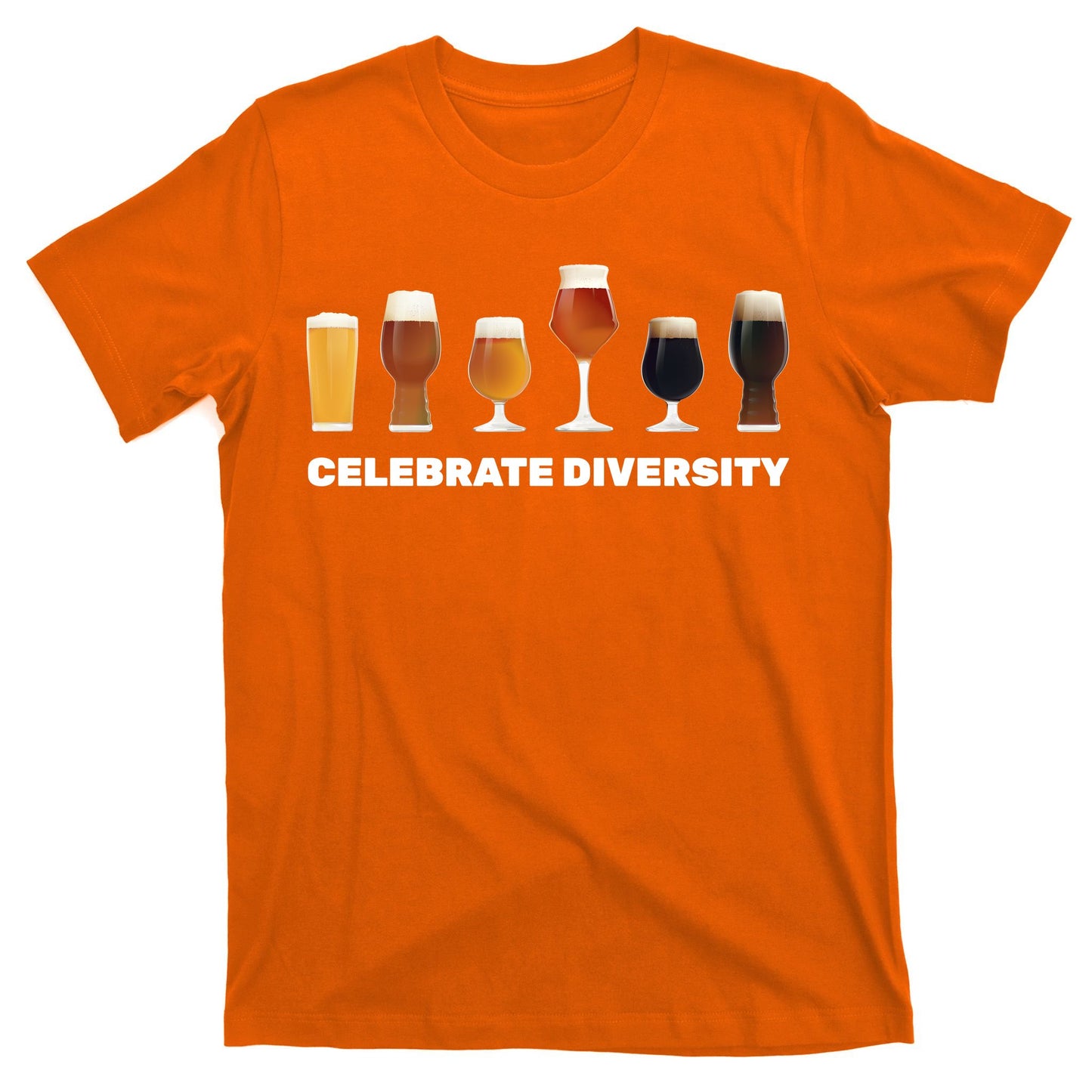 Celebrate Diversity beer Funny T-Shirt
