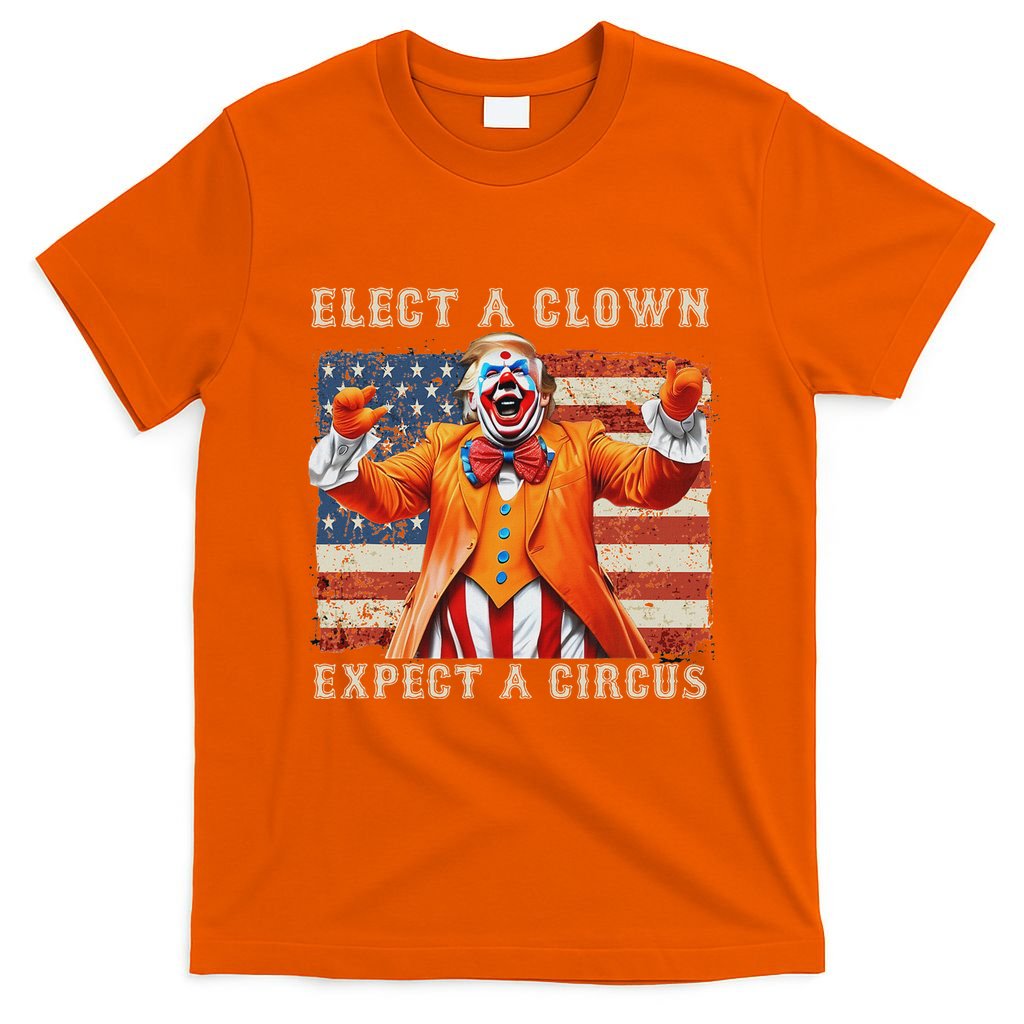 Elect A Clown Expect A Circus Usa Flag T-Shirt