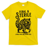 Feral Raccoon Funny Hysterectomy Recovery Present  T-Shirt