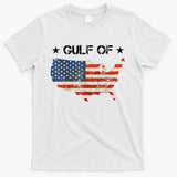 Gulf Of Usa America Vintage Usa Flag T-Shirt