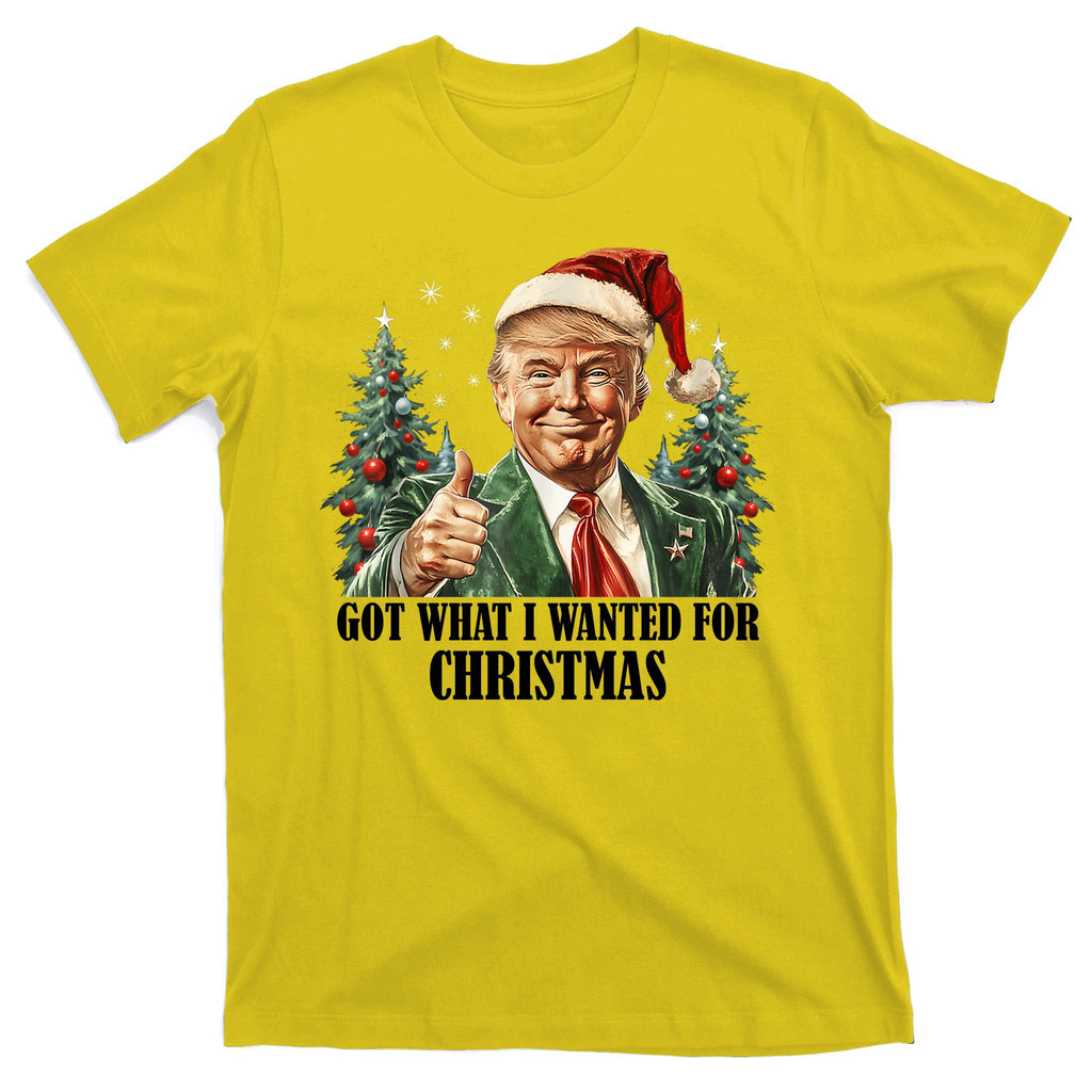 Got What I Wanted For Christmas Donald Trump T-Shirt