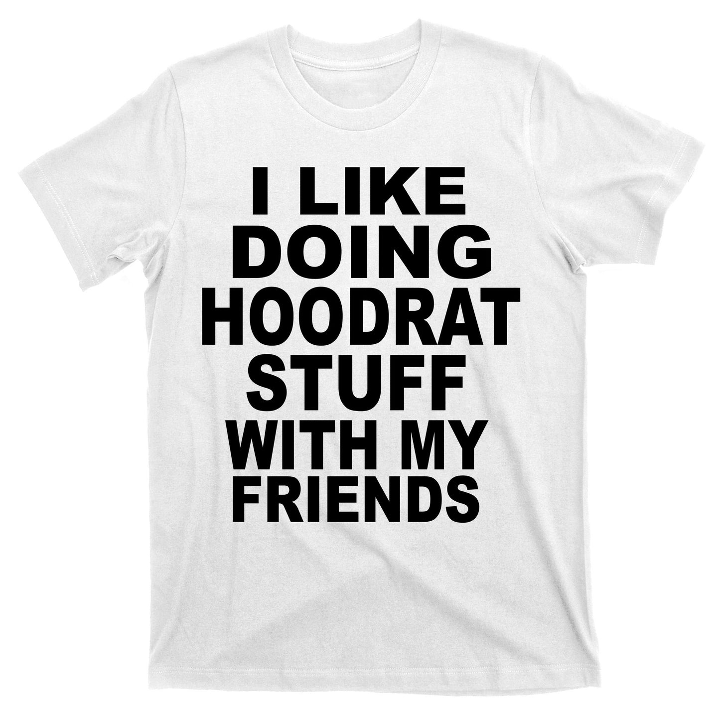 I Like Doing Hoodrat Stuff With My Friends T-Shirt