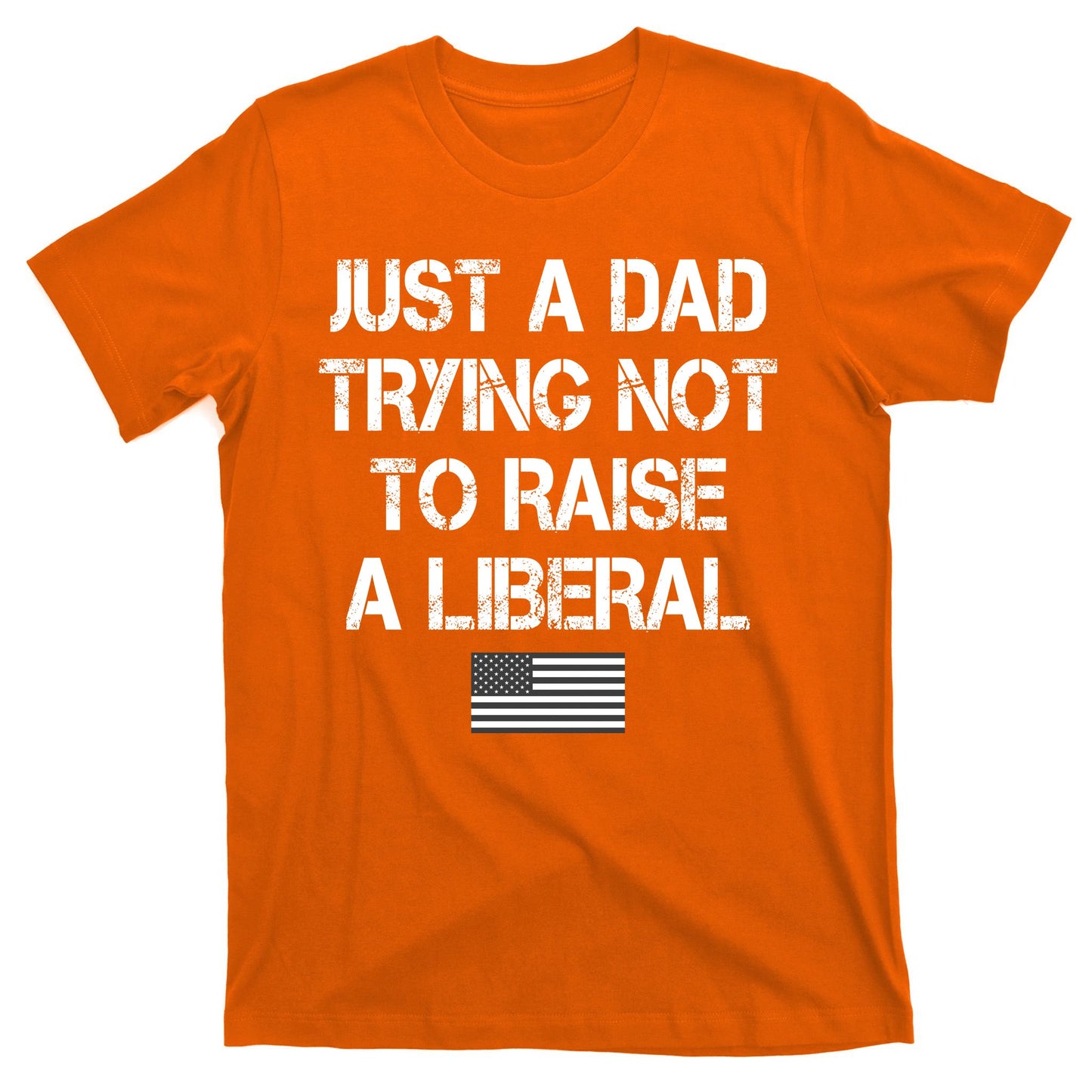 Just A Dad Trying Not To Raise A Liberal Father's Day T-Shirt