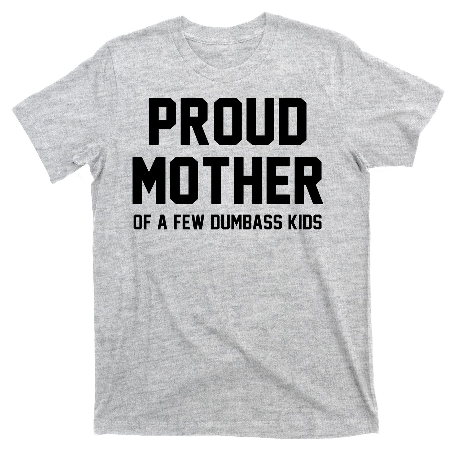 Proud Mother Of A Few Dumbass Kids Funny T-Shirt