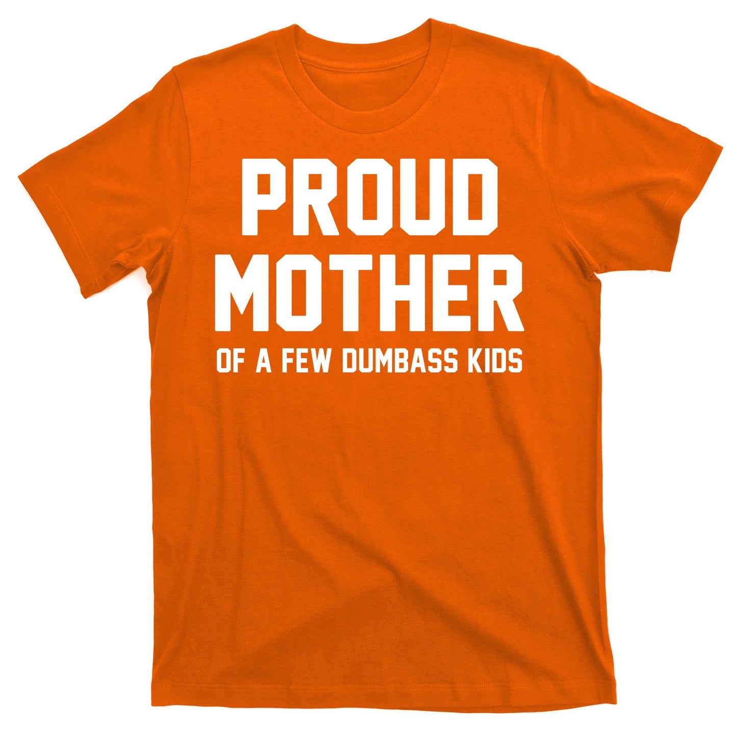 Proud Mother Of A Few Dumbass Kids Funny T-Shirt