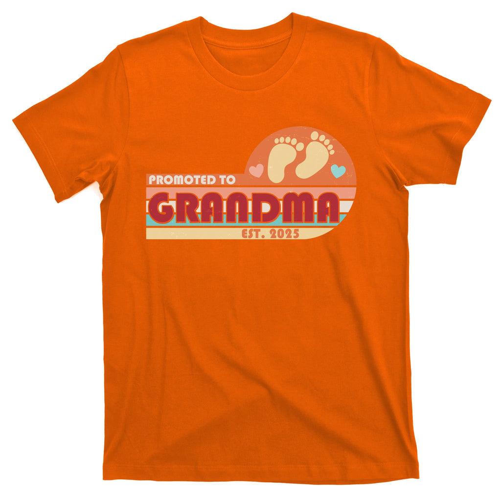 Retro Promoted To Grandma Established 2025 T-Shirt