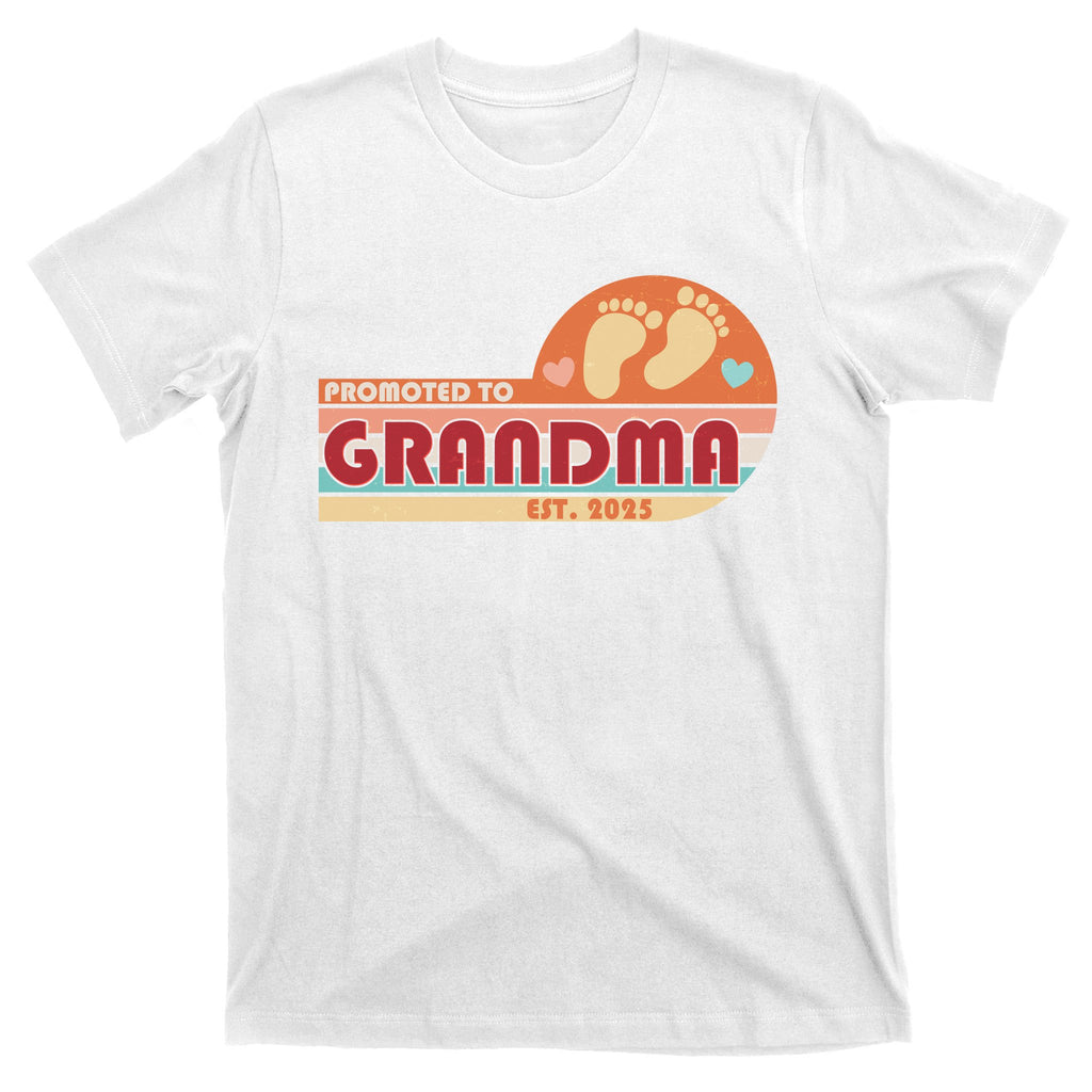 Retro Promoted To Grandma Established 2025 T-Shirt