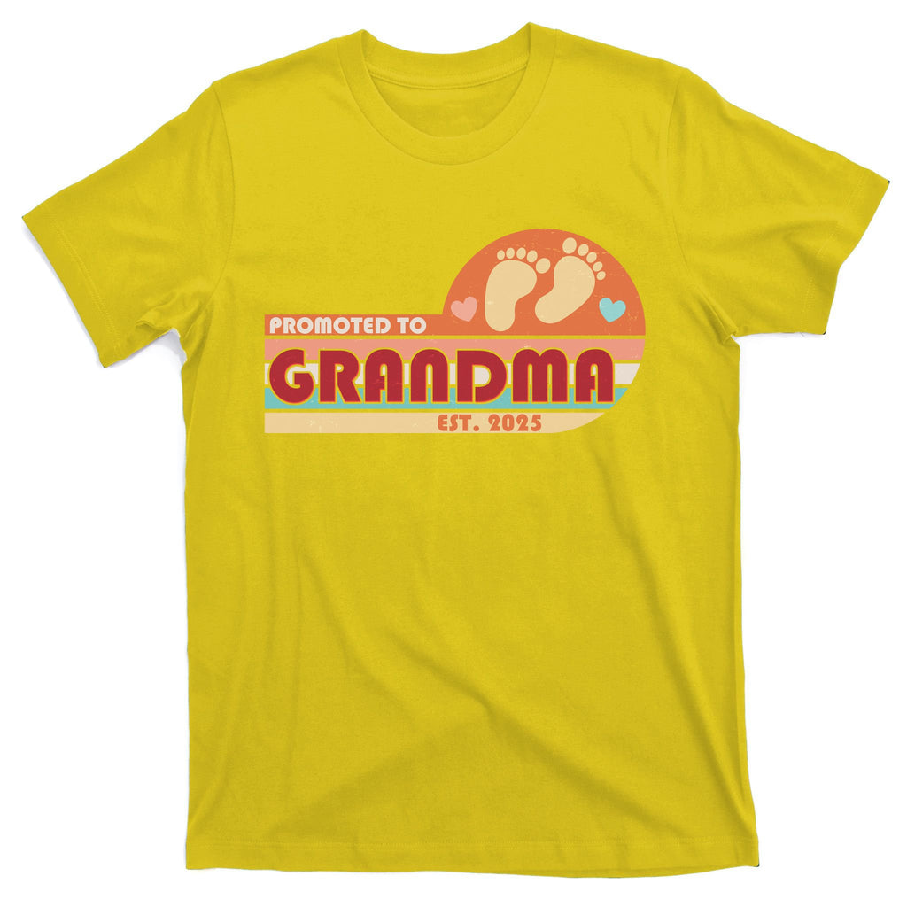 Retro Promoted To Grandma Established 2025 T-Shirt