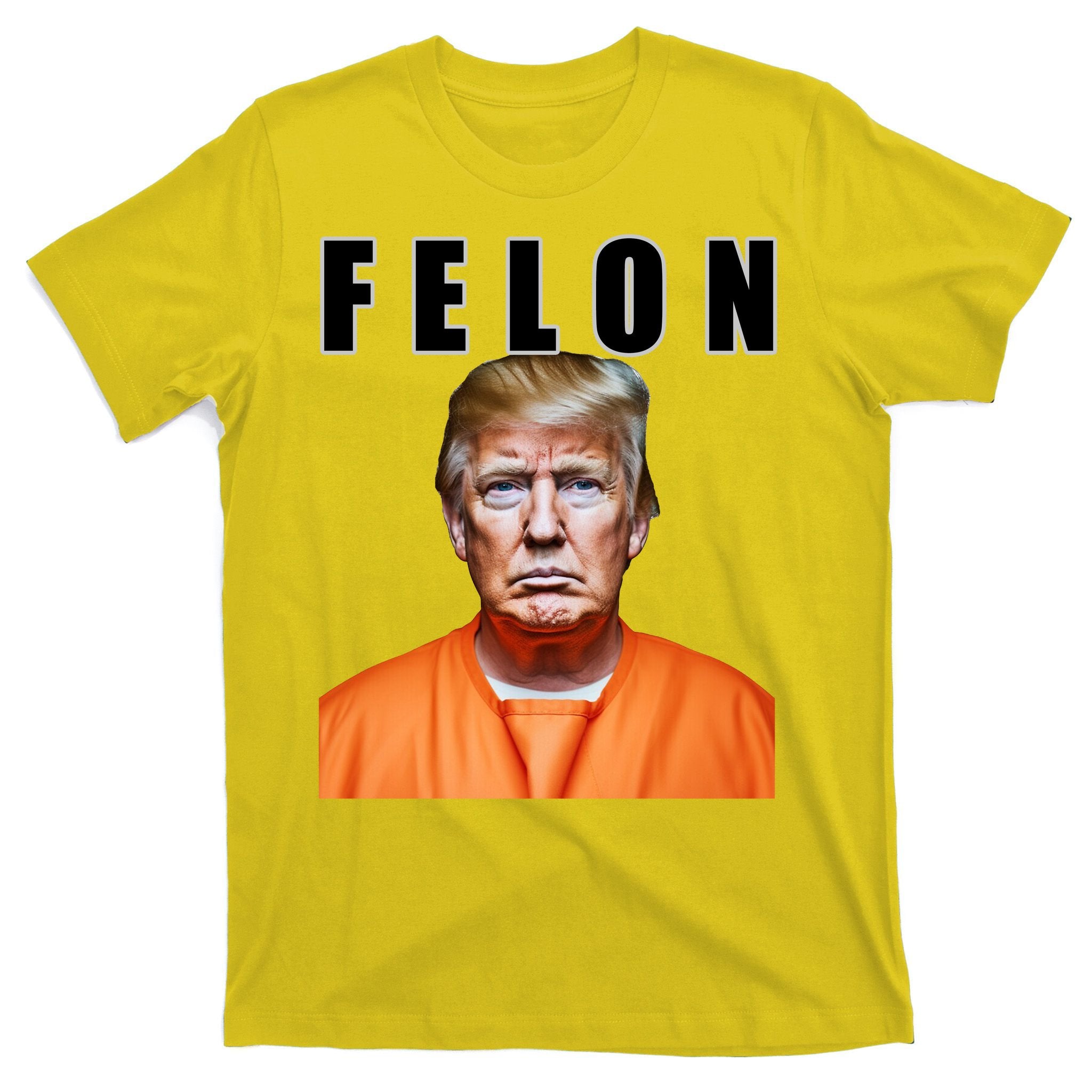 Trump Is A Felon T-Shirt