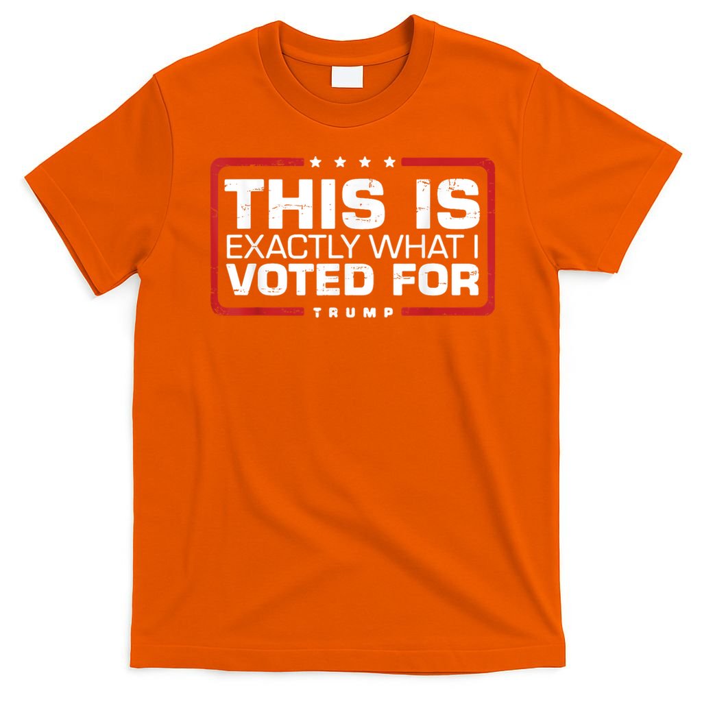 This is Exactly What I Voted For Trump T-Shirt