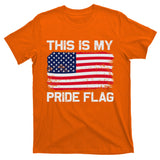 This Is My Pride Flag T-Shirt