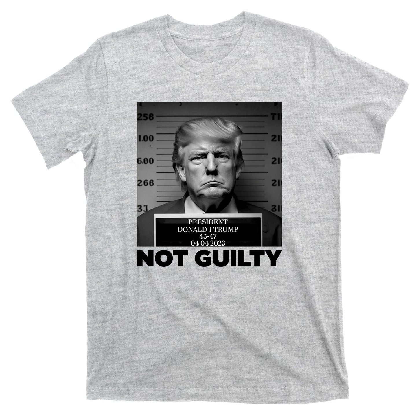 Trump Mug Shot, Trump Not Guilty Pro Trump Supporter T-Shirt