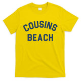 The Summer I Turned Pretty Cousins Beach Heather Gray T-Shirt