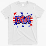 USA Festive Celebration T-Shirt