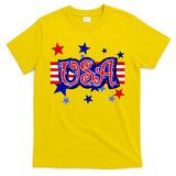 USA Festive Celebration T-Shirt