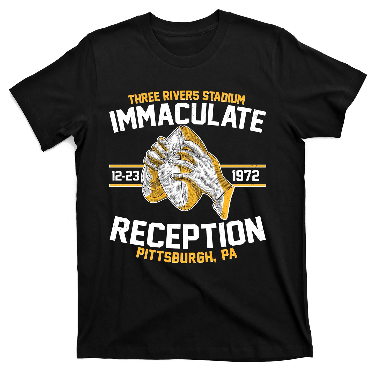 Vintage Three Rivers Stadium Immaculate Reception Football T-Shirt