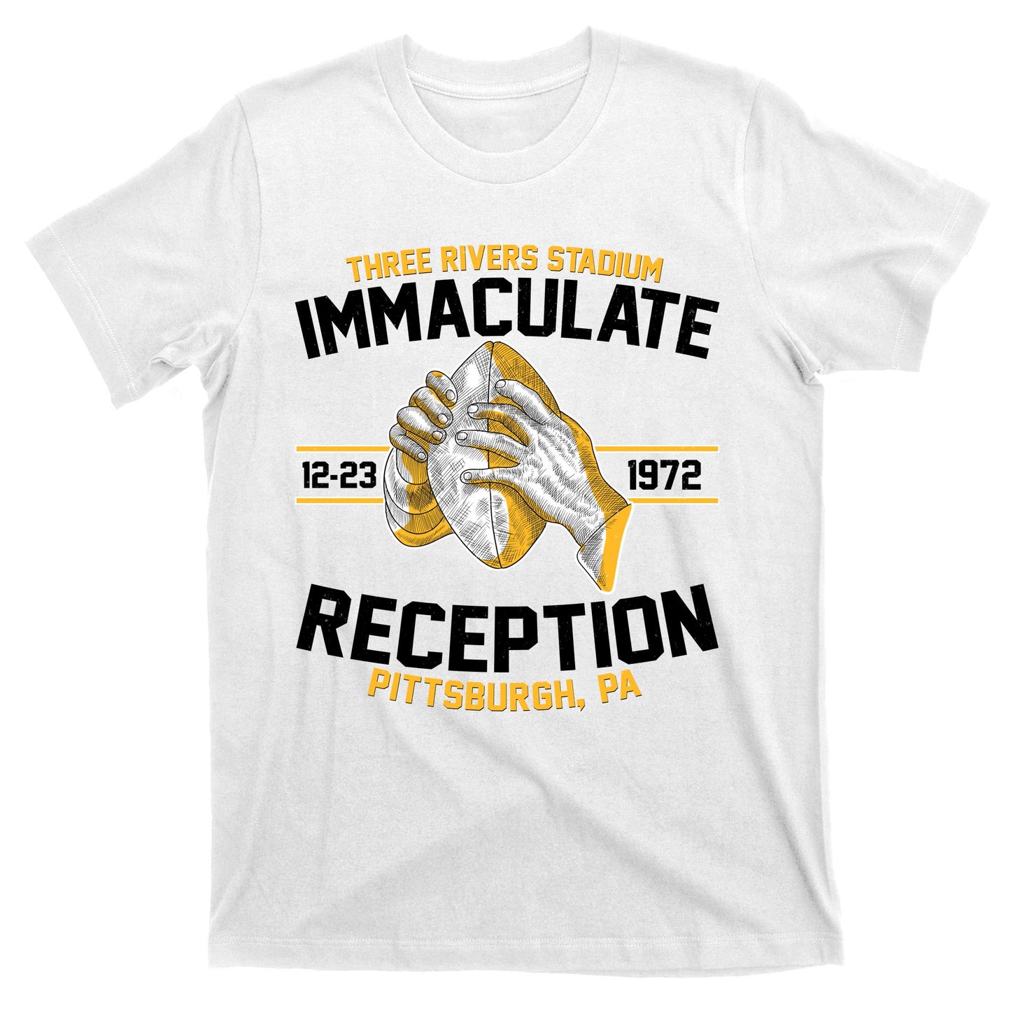 Vintage Three Rivers Stadium Immaculate Reception Football T-Shirt