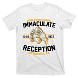 Vintage Three Rivers Stadium Immaculate Reception Football T-Shirt
