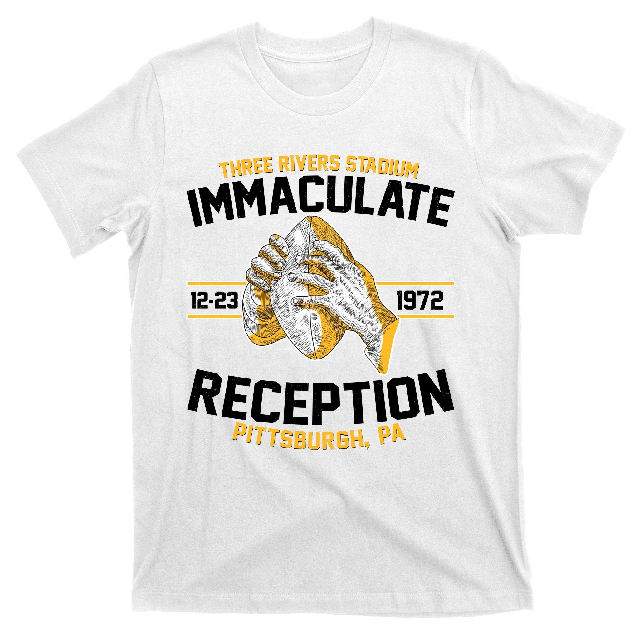 Vintage Three Rivers Stadium Immaculate Reception Football T-Shirt