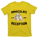Vintage Three Rivers Stadium Immaculate Reception Football T-Shirt