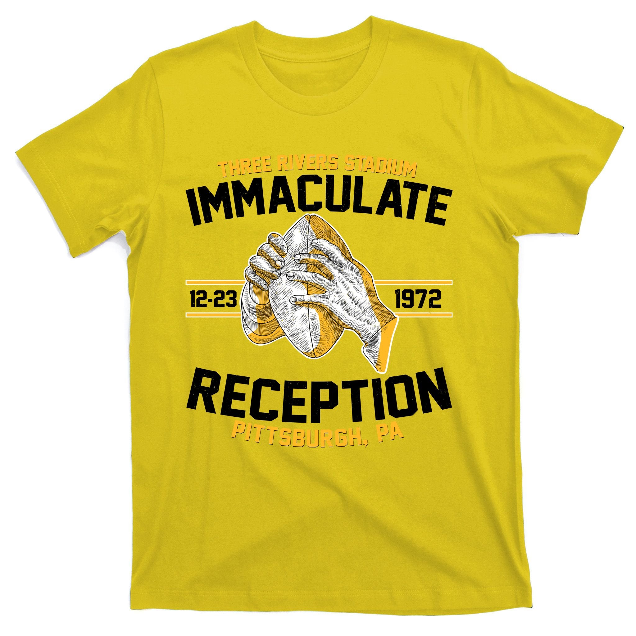 Vintage Three Rivers Stadium Immaculate Reception Football T-Shirt