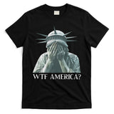Wtf America Gift T-Shirt
