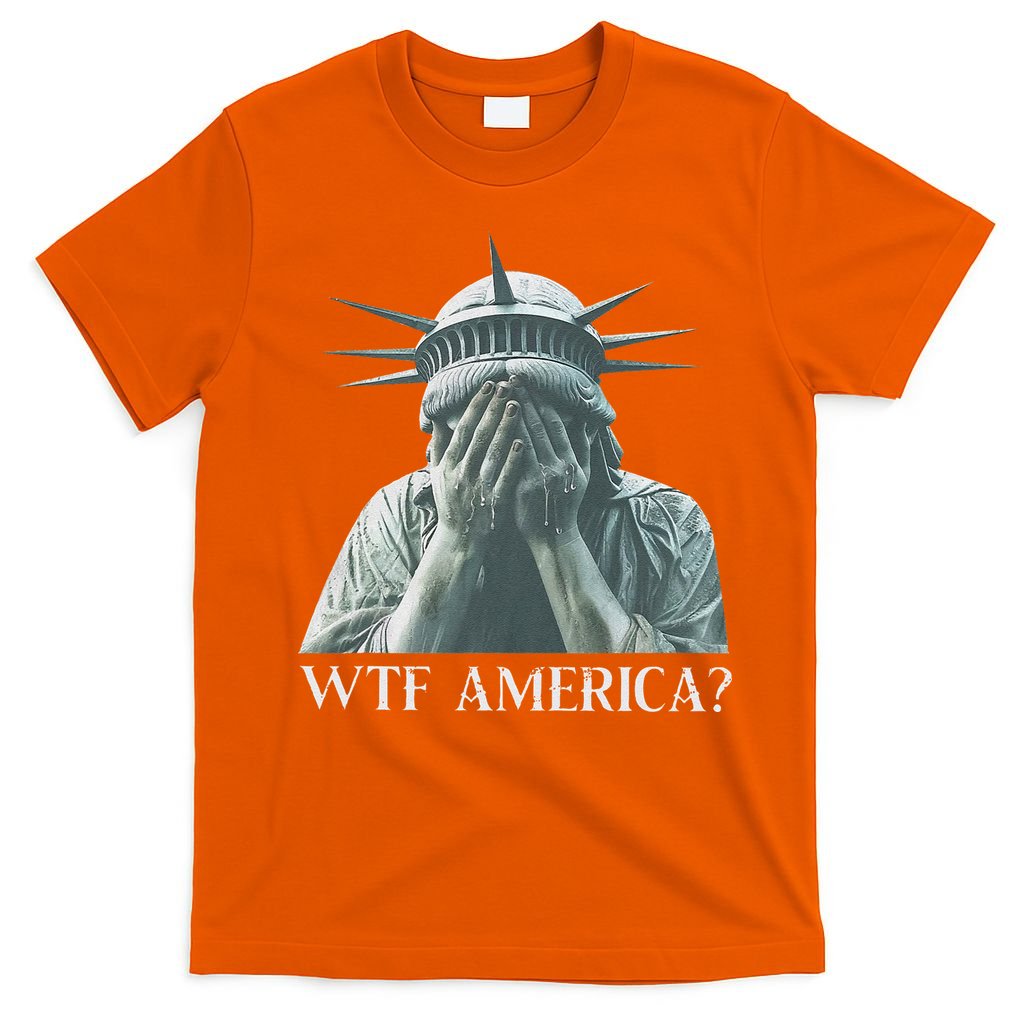 Wtf America Gift T-Shirt