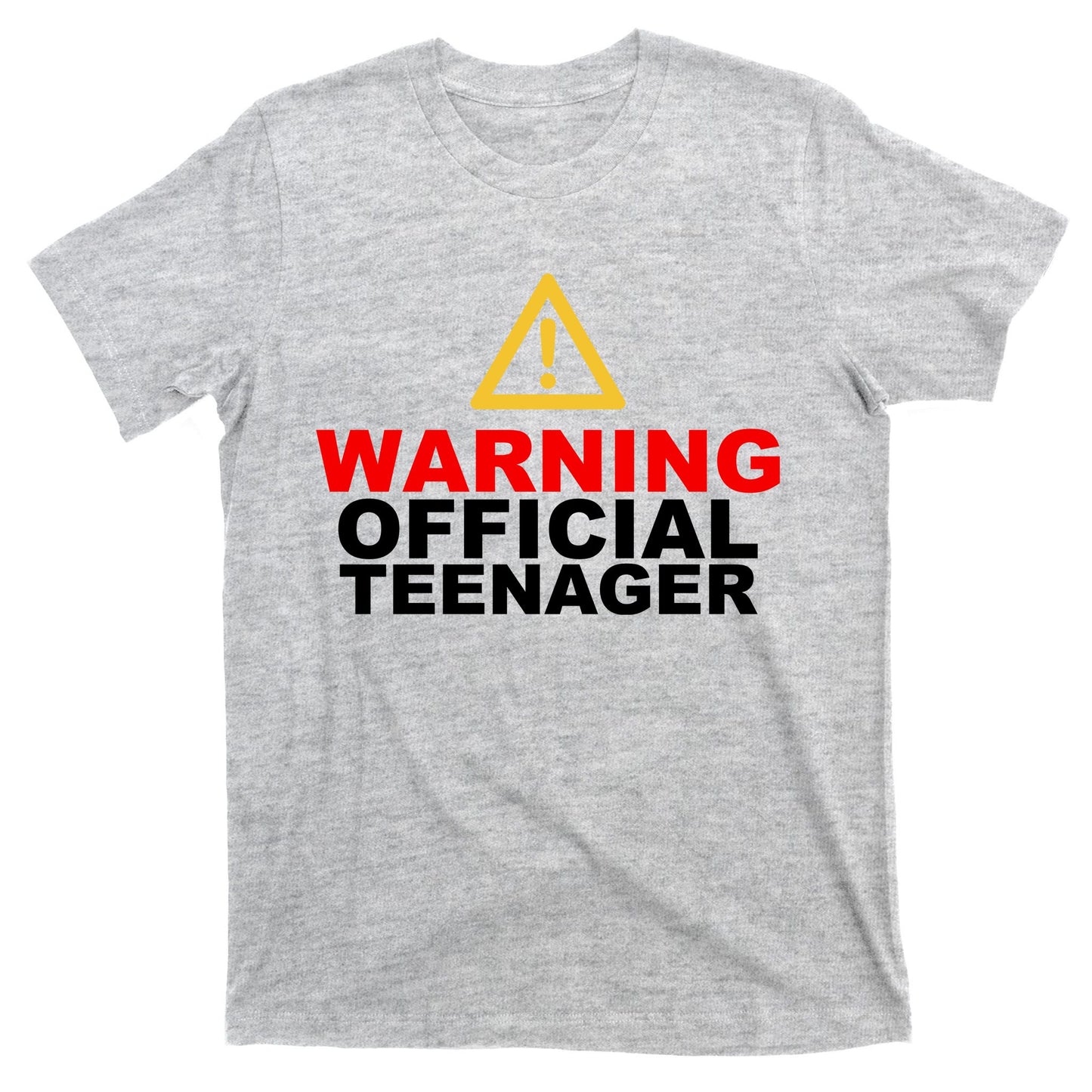Warning Official Teenager 13th Birthday T-Shirt