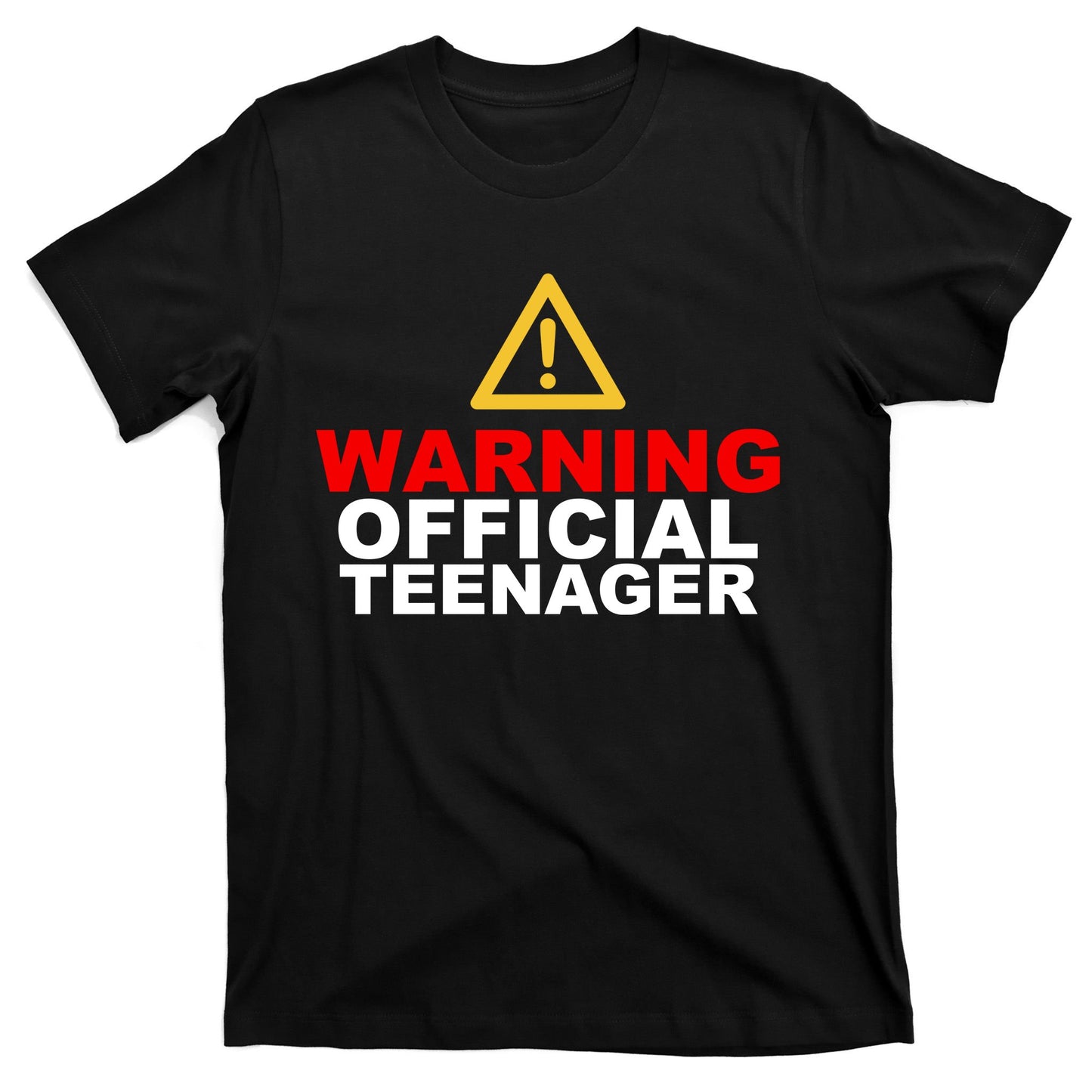 Warning Official Teenager 13th Birthday T-Shirt