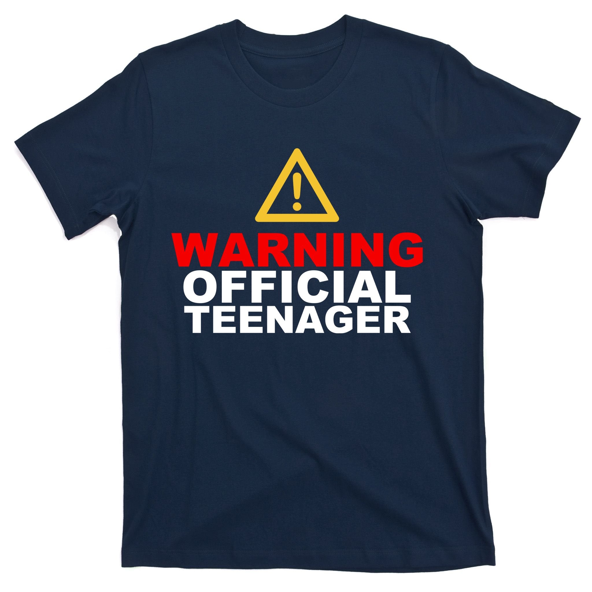 Warning Official Teenager 13th Birthday T-Shirt