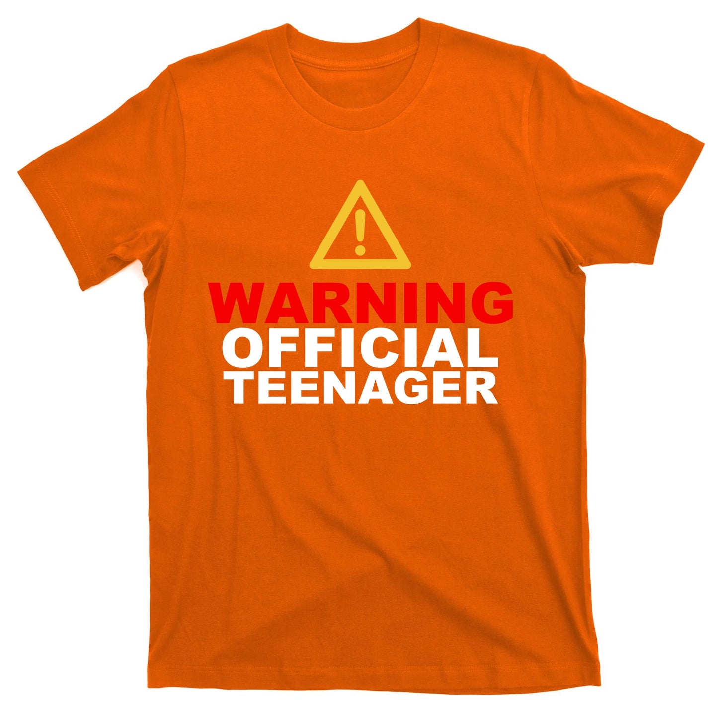 Warning Official Teenager 13th Birthday T-Shirt